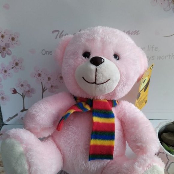 Pink Bear Plushie - Picture 3 of 5